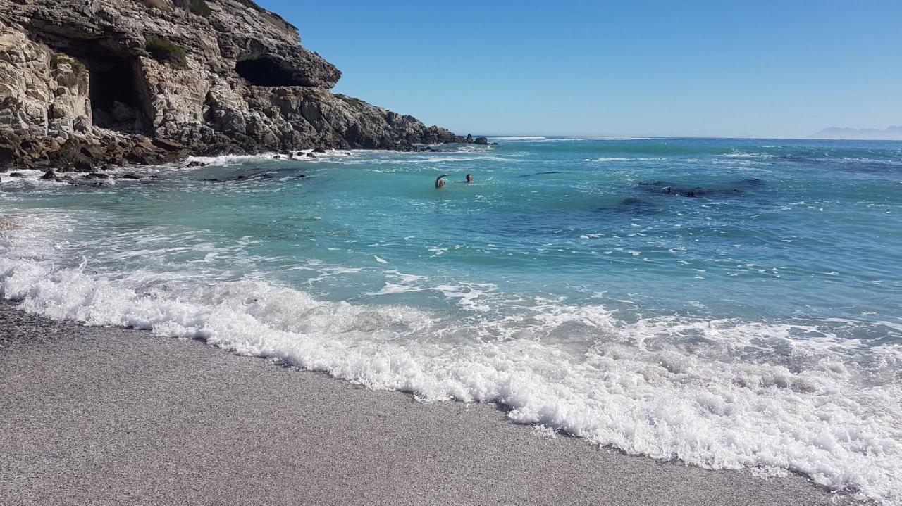 Whale Cove A103 Leilighet De Kelders Eksteriør bilde